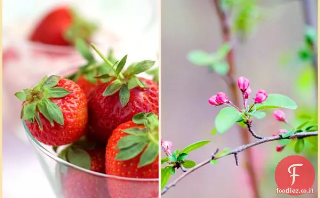 Budino di riso alla fragola