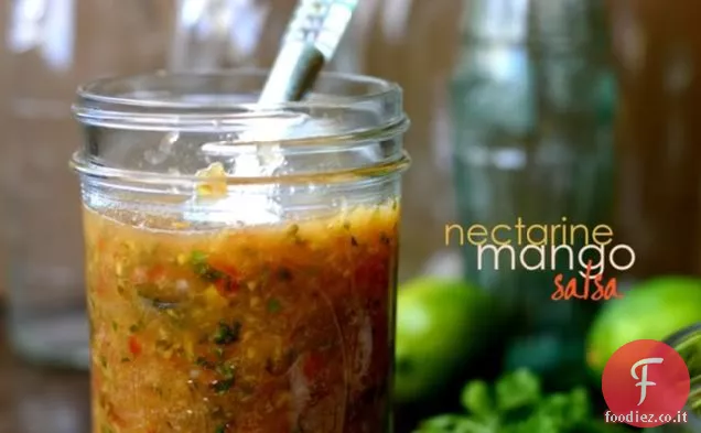 Salsa di Mango alla Nettarina