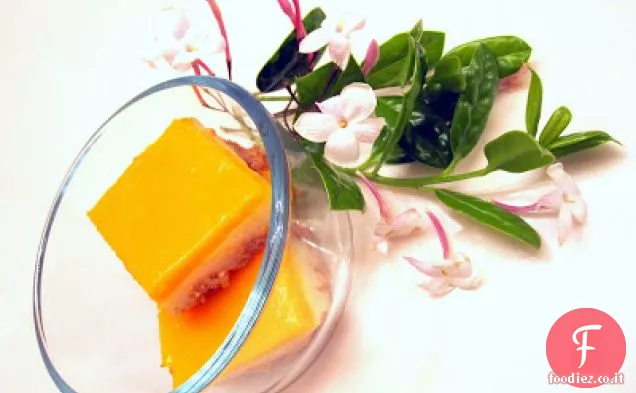 Estate magia budino di mango
