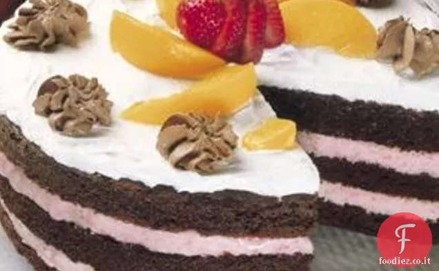 Torta gelato al cioccolato