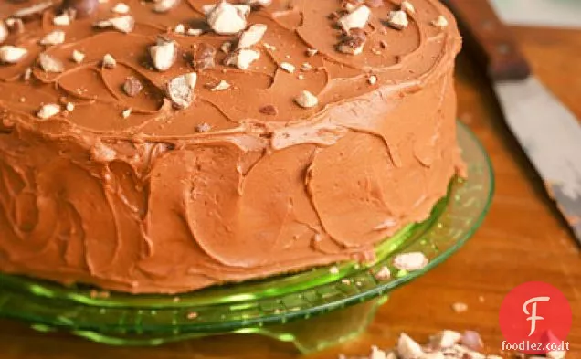 Torta al cioccolato al latte maltato