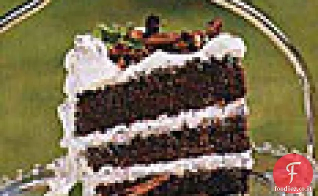 Torta al cioccolato alla menta