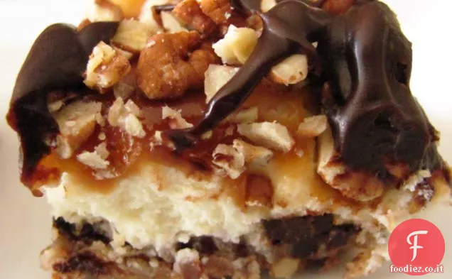 Cheesecake alla tartaruga