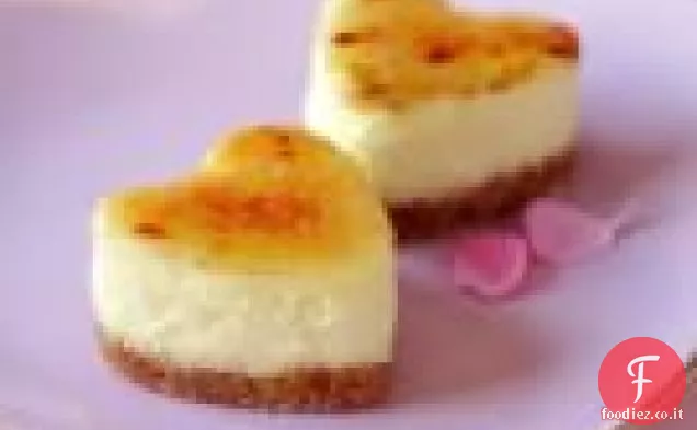 Mini Cheesecake Brûléed