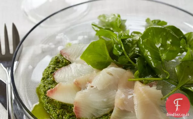 Rosso Snapper Crudo con Crescione Pesto