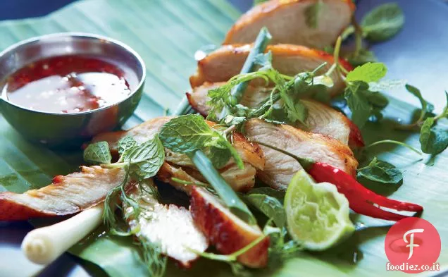 Citronella-Coriandolo pollo con salsa di miele immersione