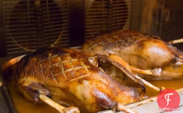 L'oca di Natale di Shirley Balboa