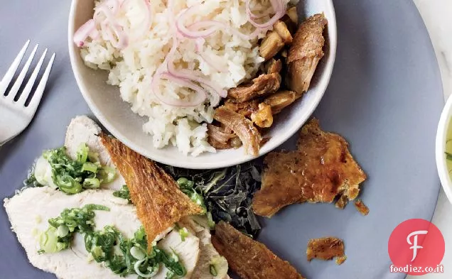 Tacchino brasato di soia con riso di tacchino