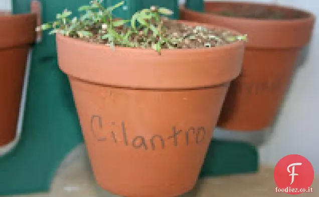 Cotolette di tacchino in salsa di Mango Crockpot Ricetta