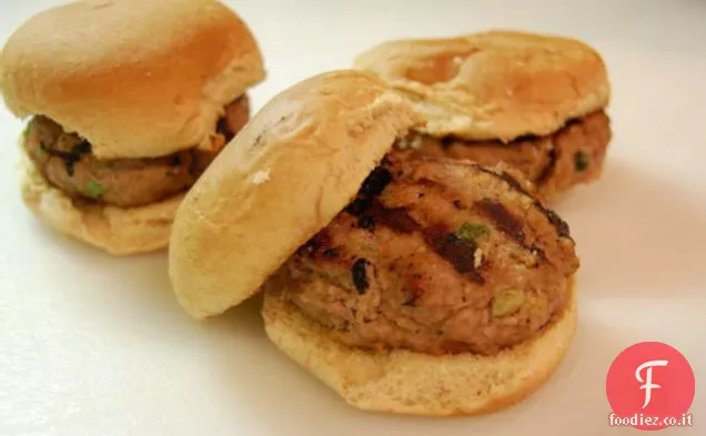 Turchia cursori