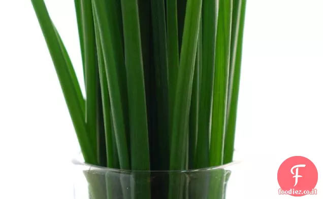 Gamberi di scuola in vaso