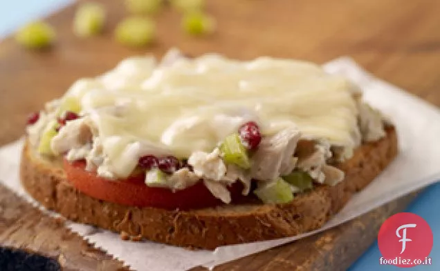 Havarti Tonno Melt