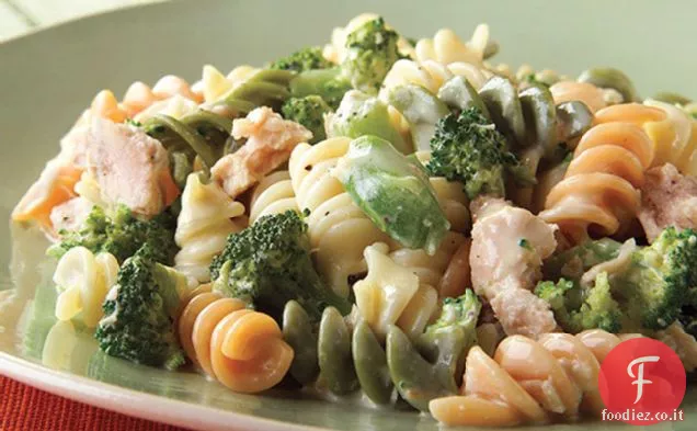 Pasta di tonno al formaggio