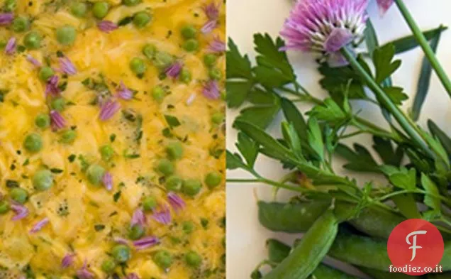 Ricetta frittata perfetta