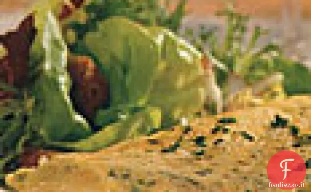 Omelette di Gruyère e Prezzemolo