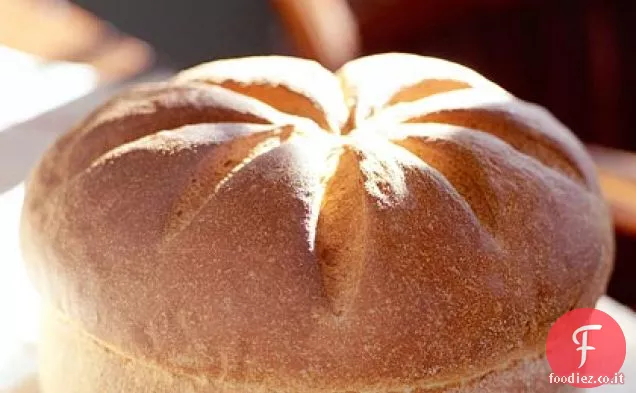 Tondi di farina di mais al miele