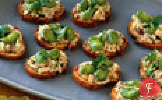 Crostini di Tonno e Fava