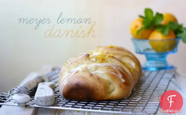 Meyer Crema di formaggio al limone Danese