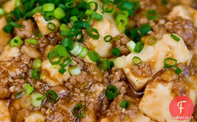 Mapo Tofu (stile giapponese)