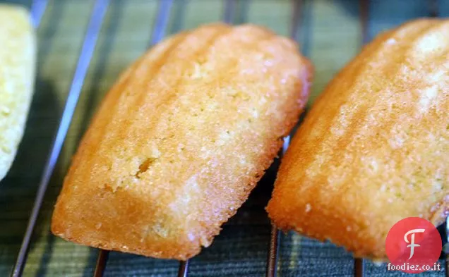Madeleines classici