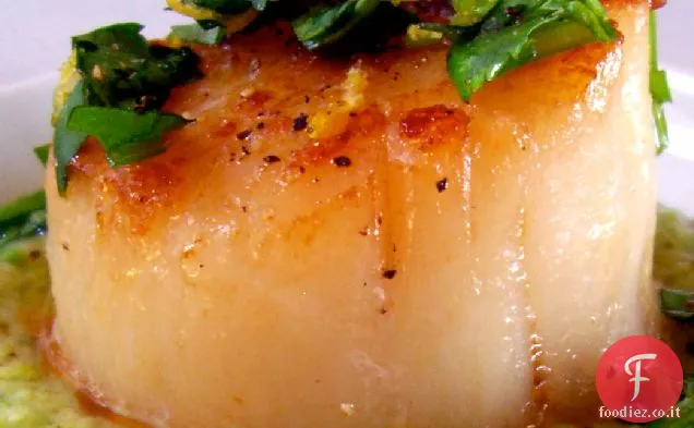 Capesante di mare Scottate con purea di piselli Gingered e Coriandolo Gremolata