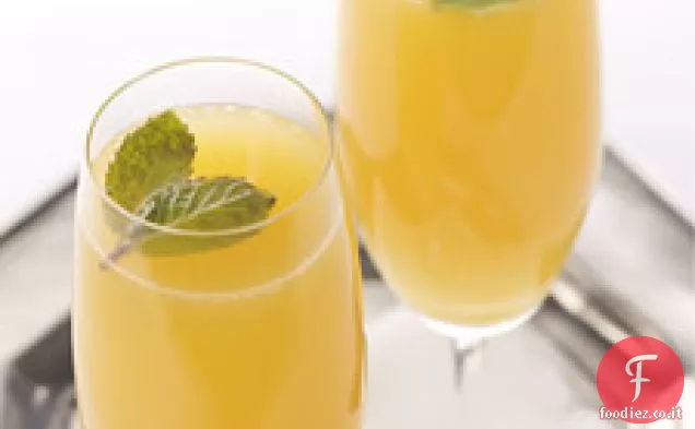 Mimosa di Menning