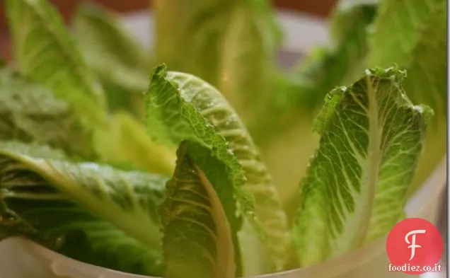 La primavera è saltata insalata