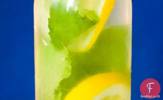 Acqua al limone fresca mezza congelata di Charlotte