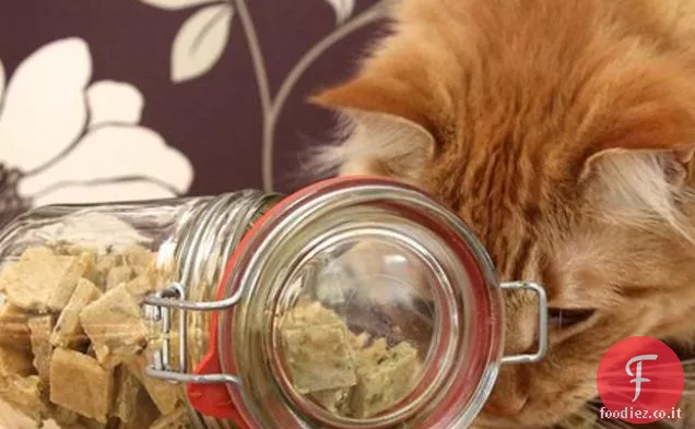 Chewy Cat Treats per gatti