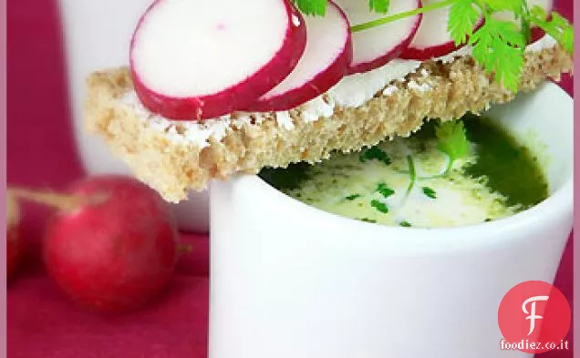 Zuppa di ravanello rosso e rucola