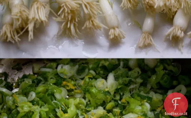 Insalata di maccheroni