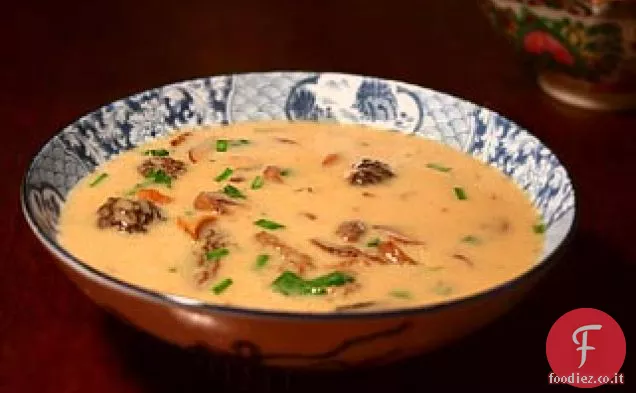 Crema di zuppa di funghi selvatici