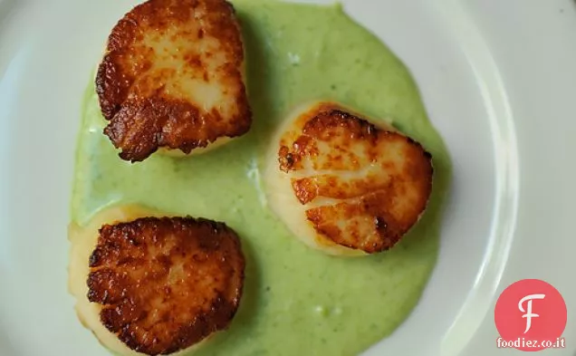 Capesante scottate con Cipollotto e Crema di Dragoncello