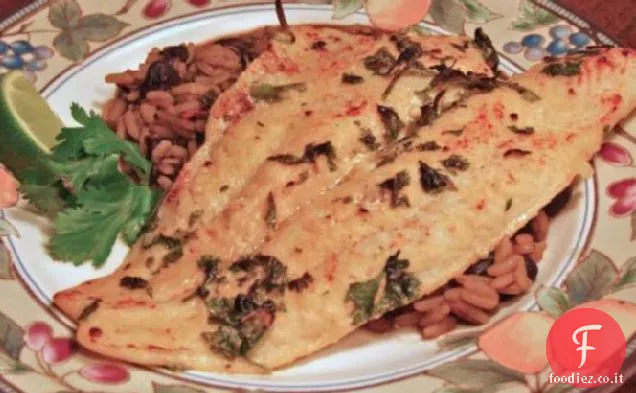 Spigola dei Caraibi alla griglia