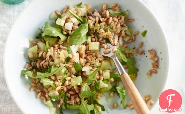 Insalata di Farro con Finocchio e Rucola