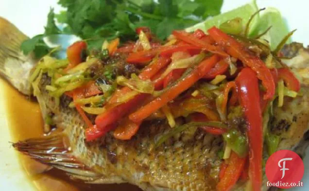 Gingered Pesce dalle isole