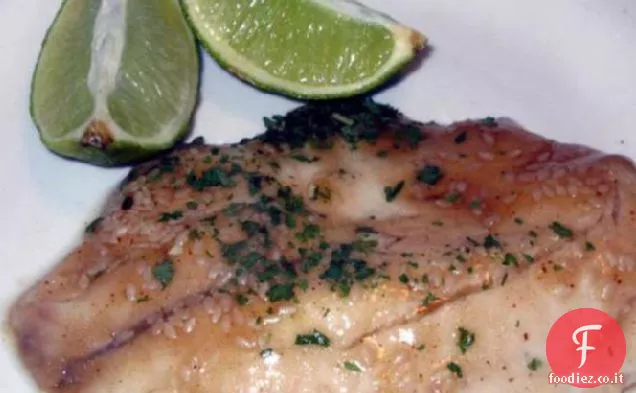 Filetti di pesce gatto in salsa di zenzero