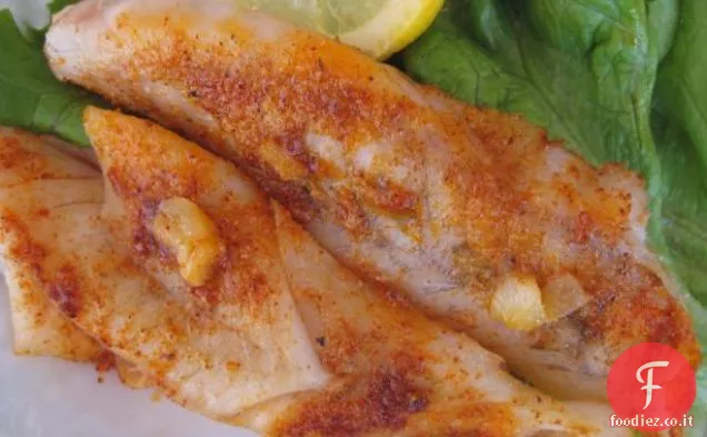 Pesce Gatto Italiano
