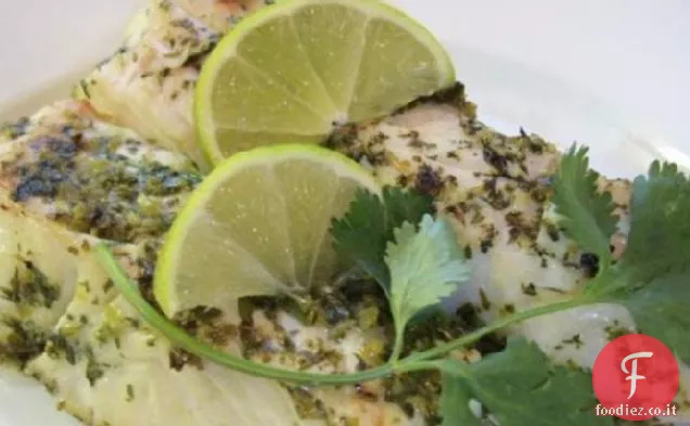 Pesto del Pacifico Halibut alla griglia