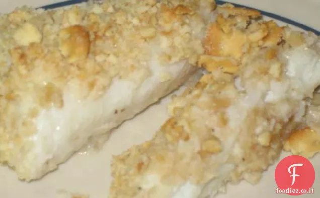 Caesar Pesce specchio atlantico