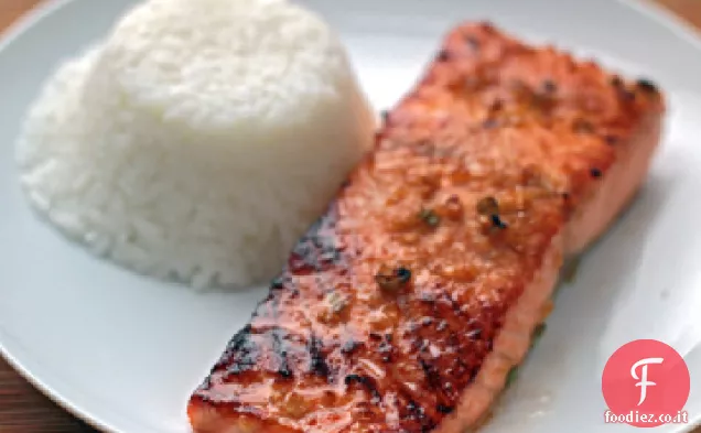 Miso-Zenzero Salmone marinato