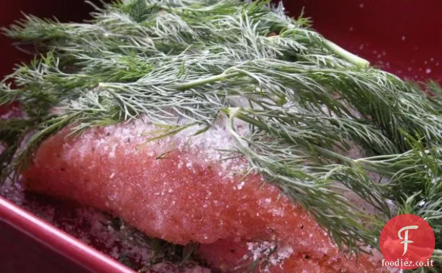 Salmone al forno smaltato in acero arancione