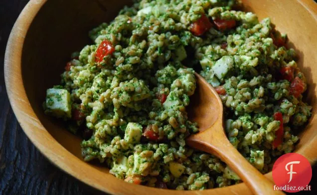 Insalata di Farro e Mozzarella fresca con Pesto di Noci di rucola