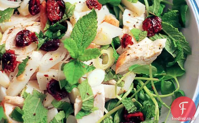 Petto di pollo, formaggio Manchego e menta