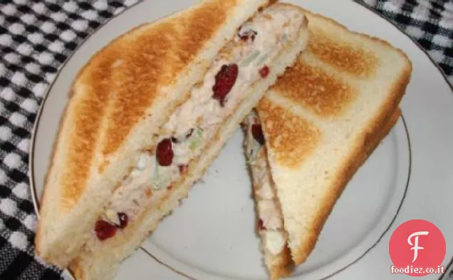 Panino con insalata di tonno al mirtillo