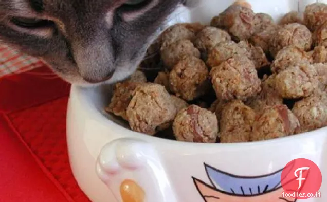 Torte di tonno Tabby (per Kitty)