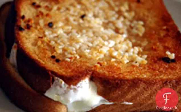 Panini italiani al formaggio grigliato