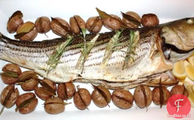 Erba arrostito Striped Bass