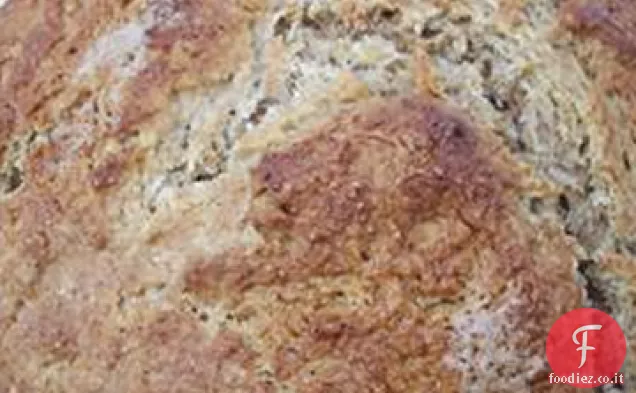 Pane di grano irlandese perfettamente umido