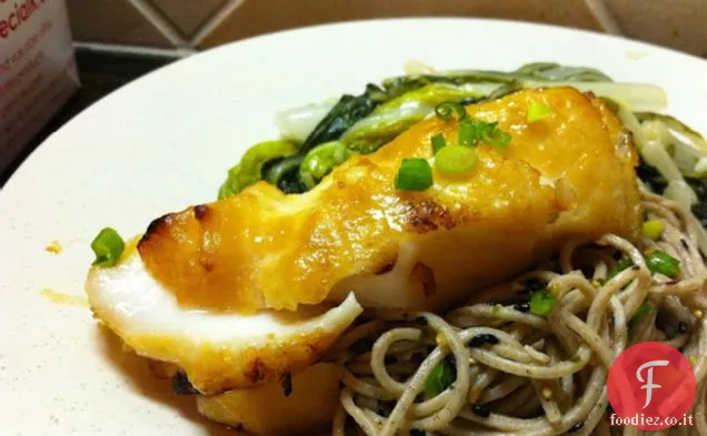 Spigola glassata al Miso